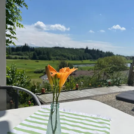 Panorama-Haus Appartement Pfaender Wangen im Allgäu Eksteriør billede